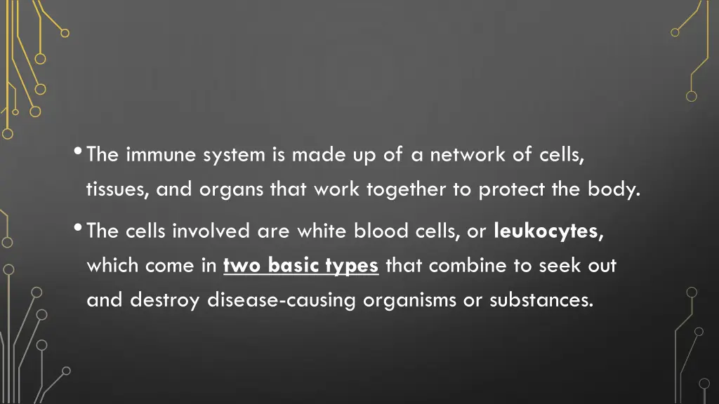 the immune system is made up of a network