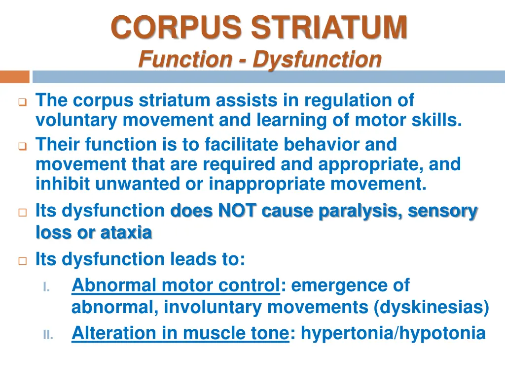 corpus striatum function dysfunction