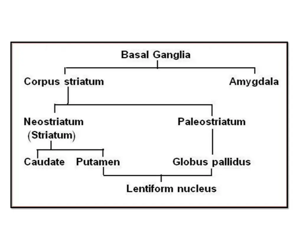 slide6