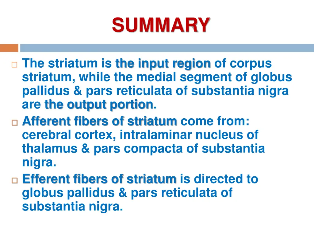 summary 1