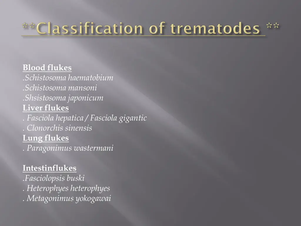 blood flukes schistosoma haematobium schistosoma