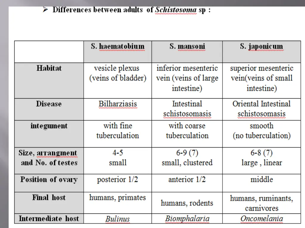 slide7