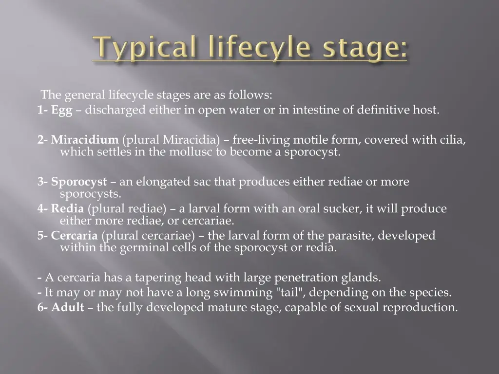 the general lifecycle stages are as follows