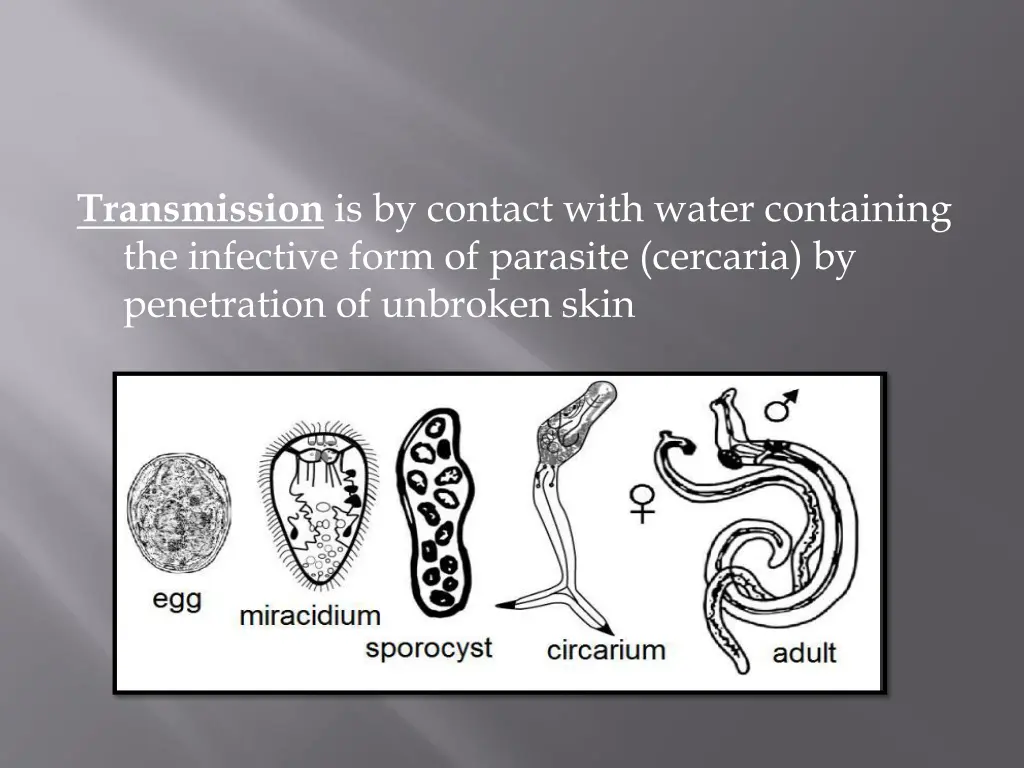 transmission is by contact with water containing