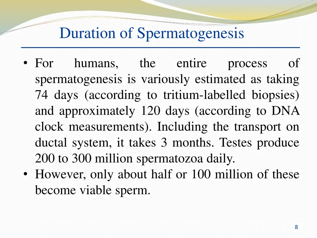 duration of spermatogenesis