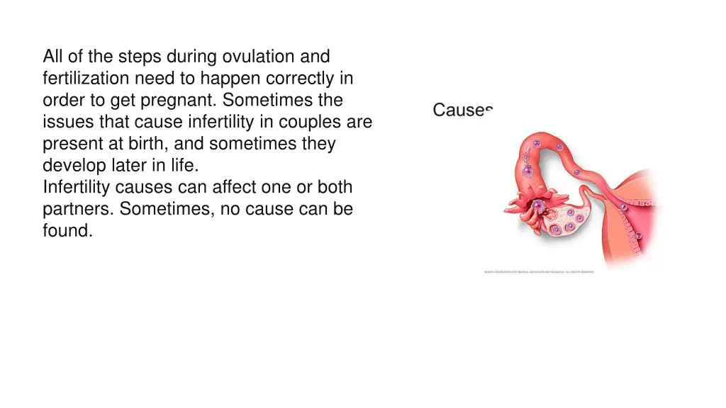 all of the steps during ovulation