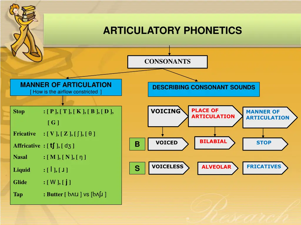 articulatory phonetics 2