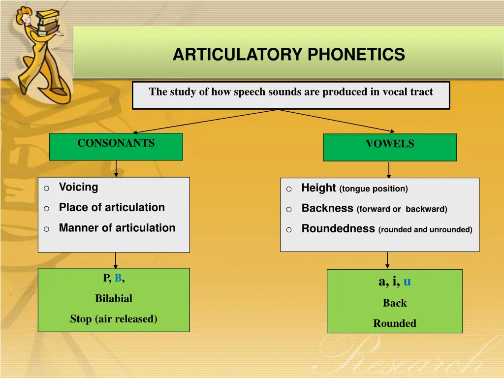 articulatory phonetics
