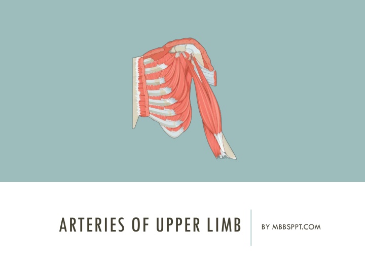 arteries of upper limb