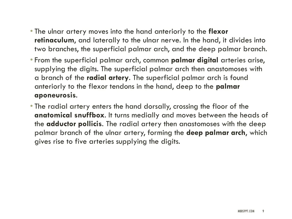the ulnar artery moves into the hand anteriorly