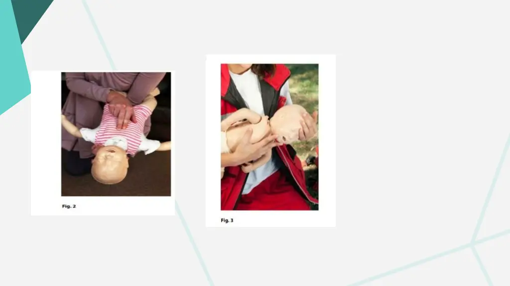 slide7