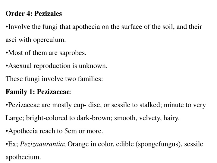 order 4 pezizales