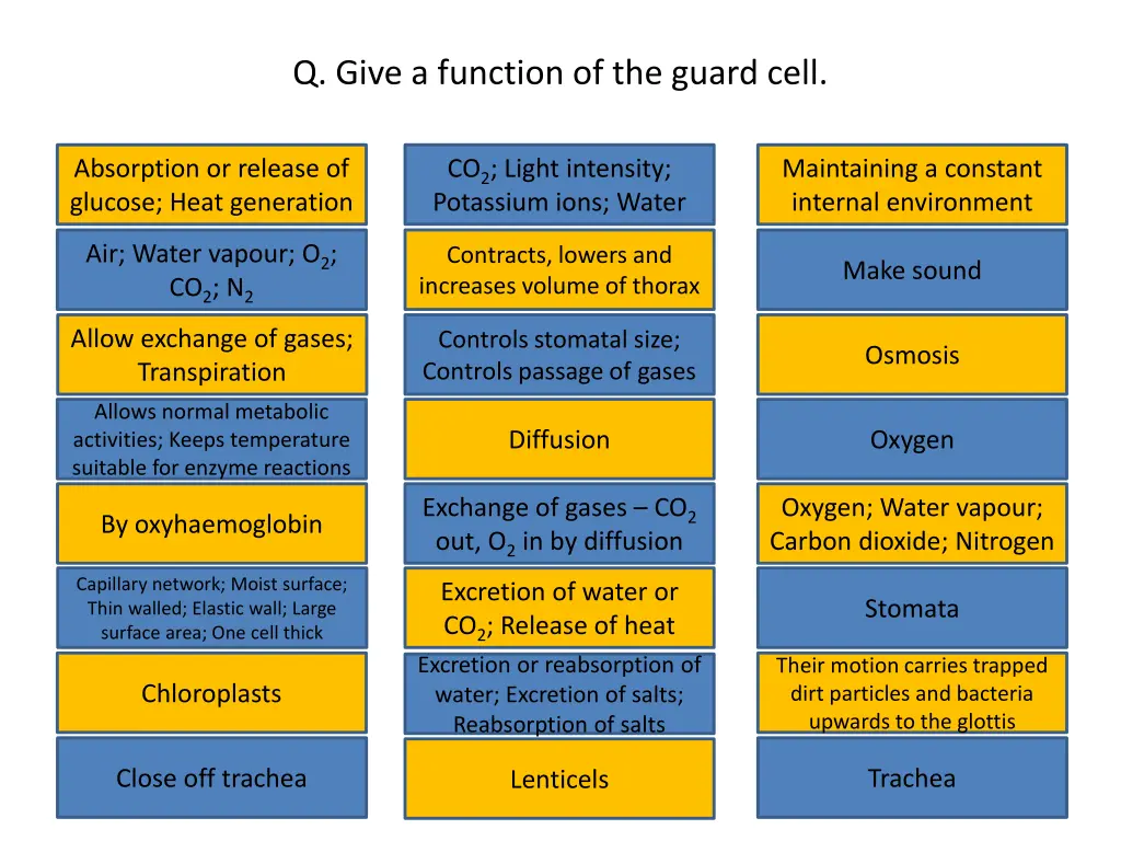 q give a function of the guard cell
