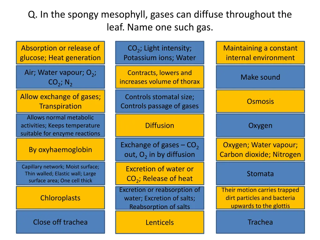 q in the spongy mesophyll gases can diffuse