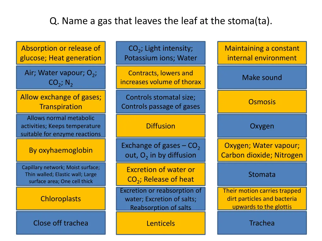q name a gas that leaves the leaf at the stoma ta