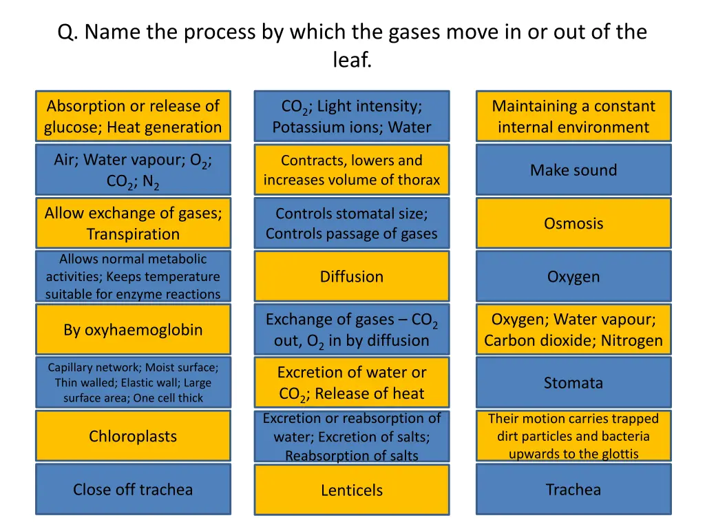 q name the process by which the gases move