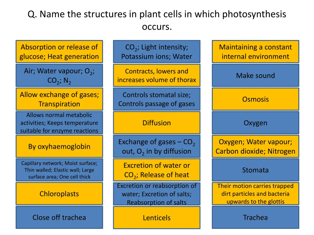 q name the structures in plant cells in which