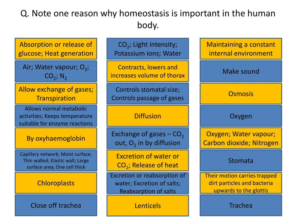 q note one reason why homeostasis is important