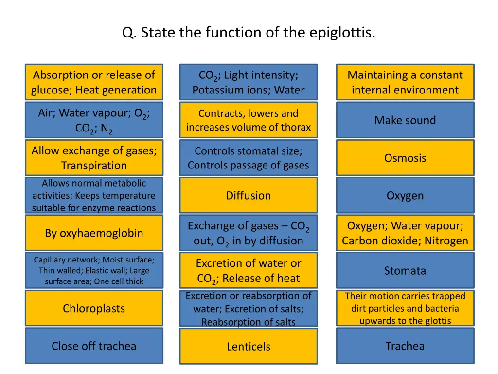 q state the function of the epiglottis