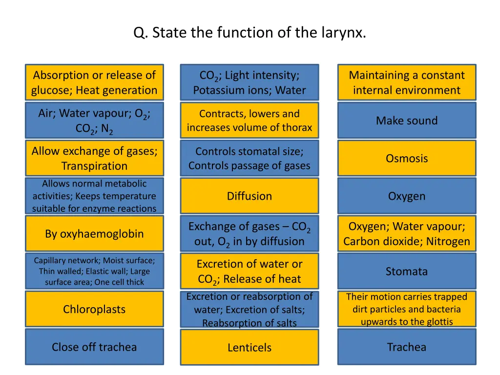 q state the function of the larynx