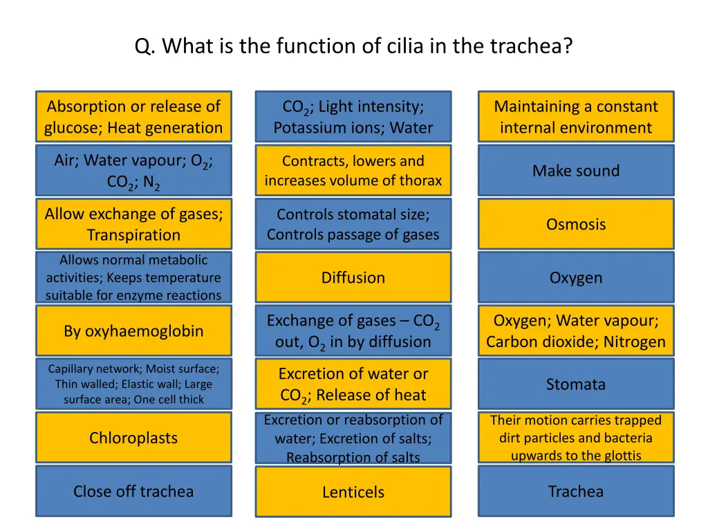q what is the function of cilia in the trachea
