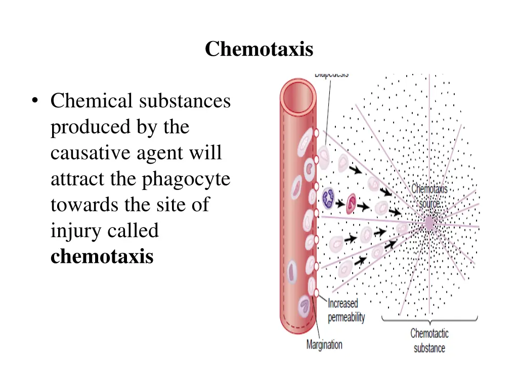 chemotaxis