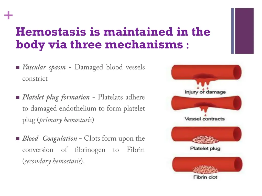 slide3