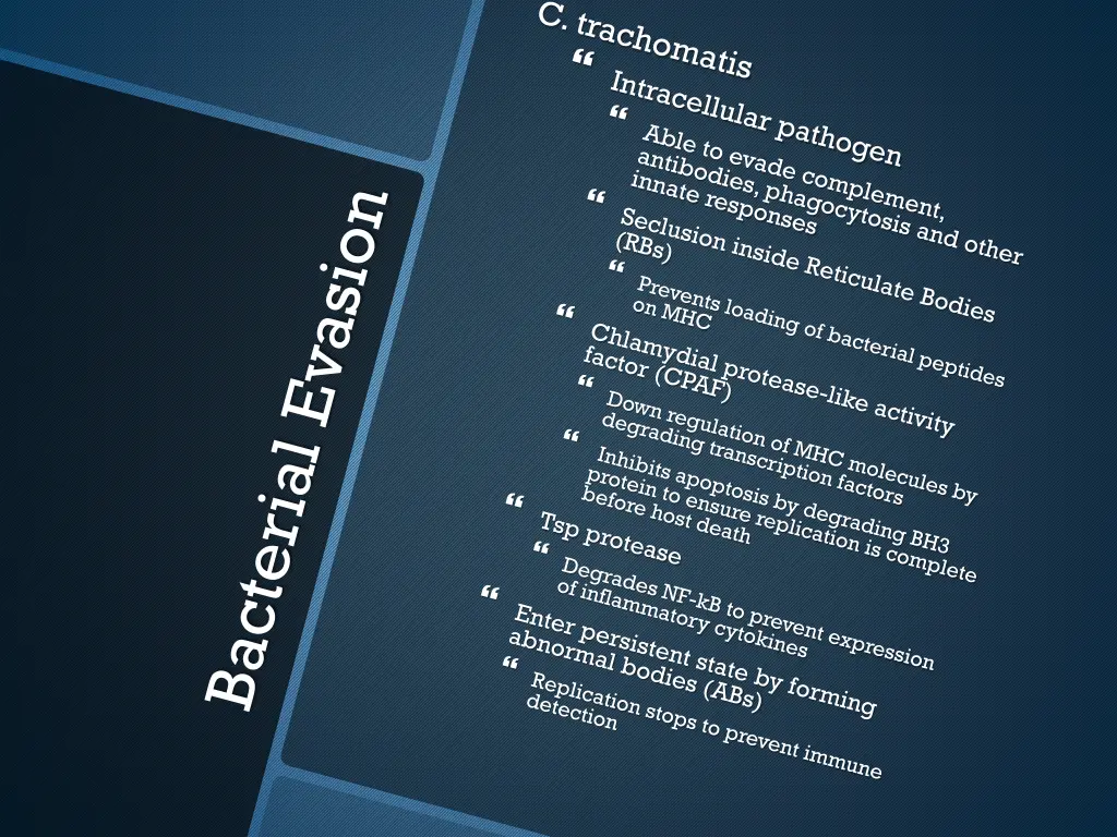 slide11