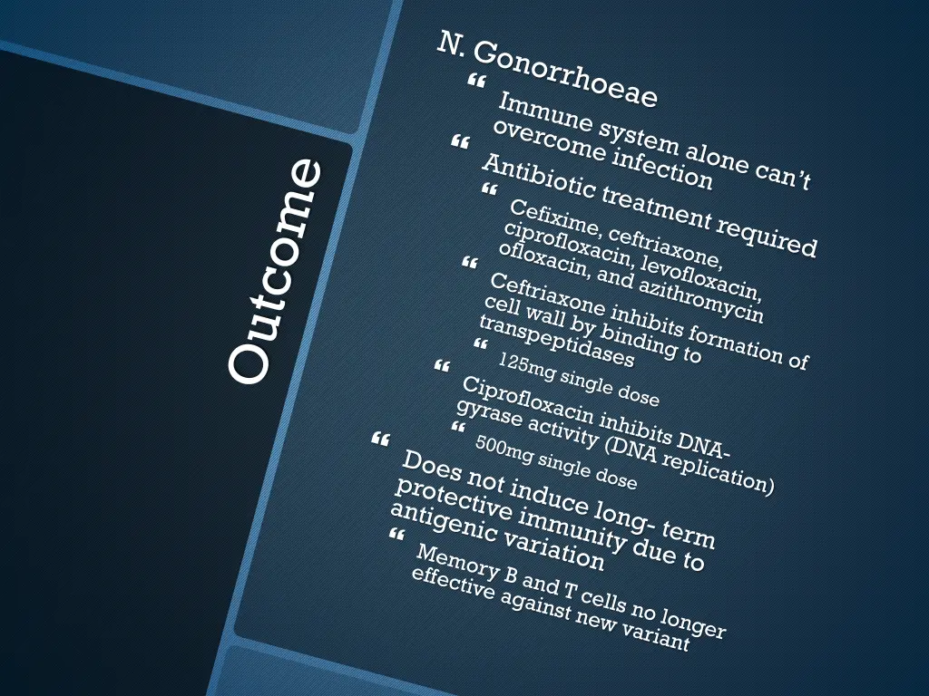 slide12