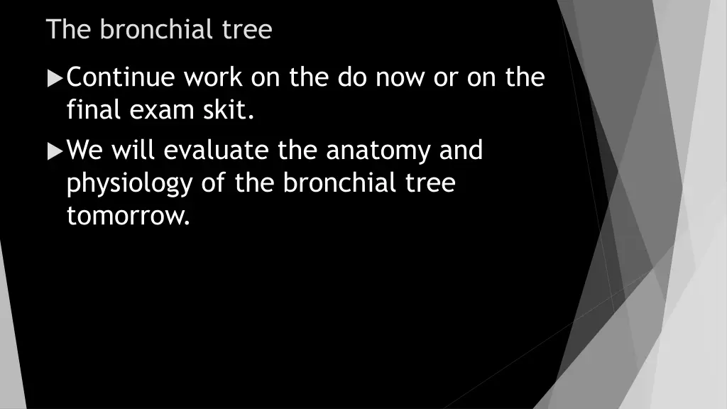 the bronchial tree