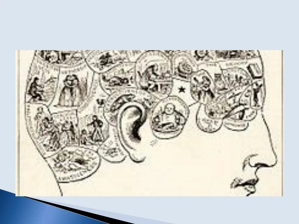 slide5