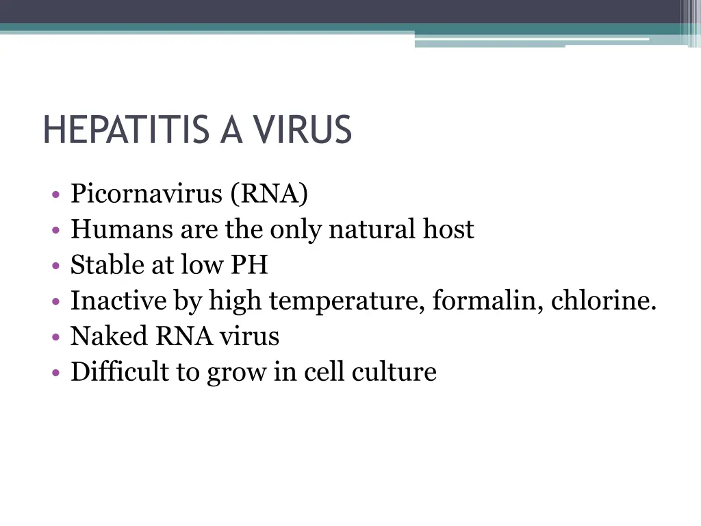 hepatitis a virus
