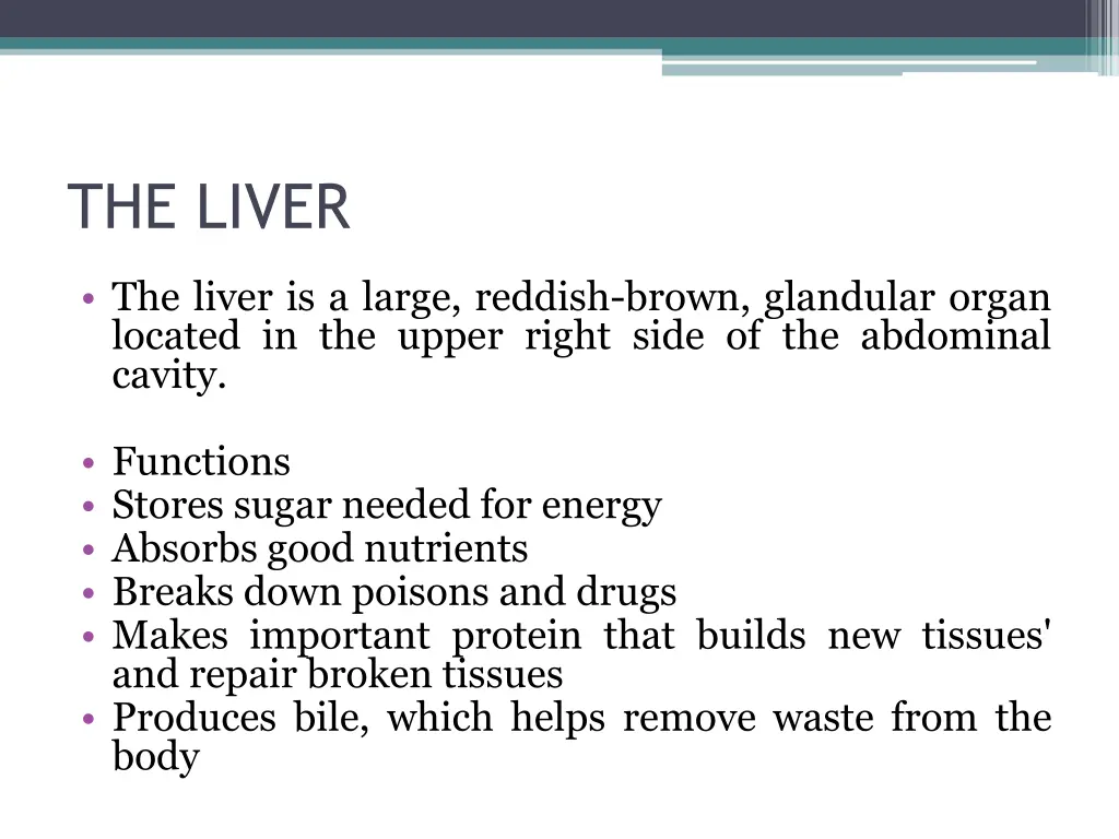 the liver