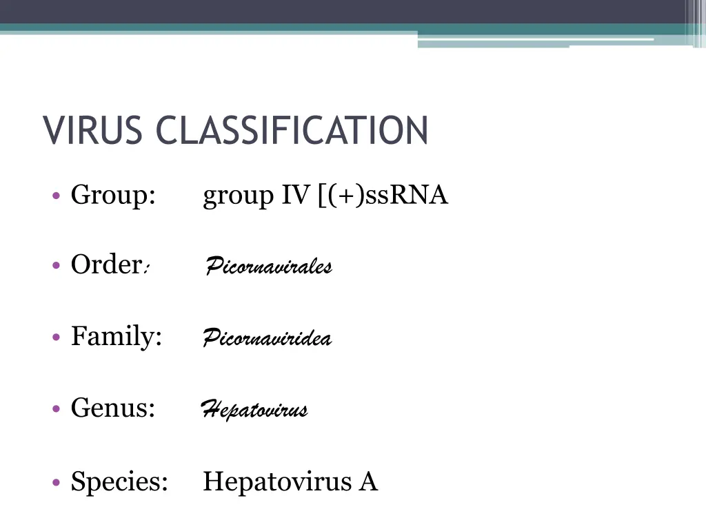 virus classification
