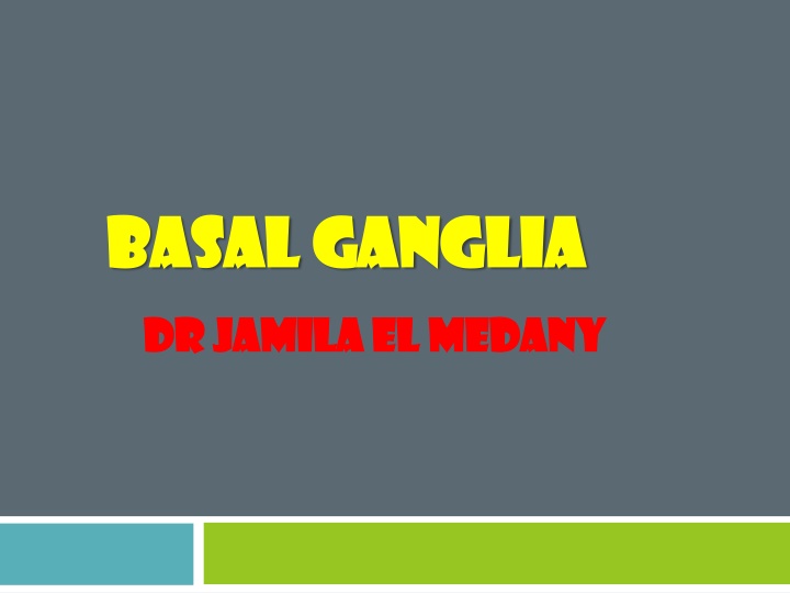basal ganglia basal ganglia