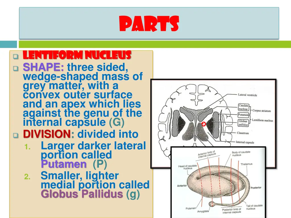 parts parts