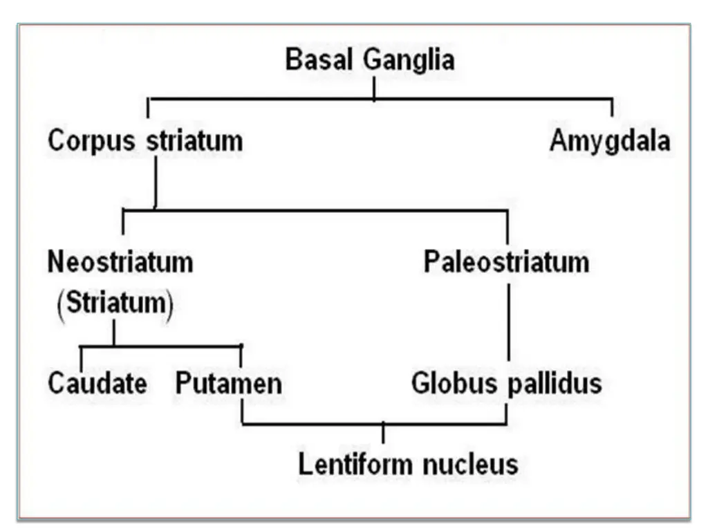 slide12