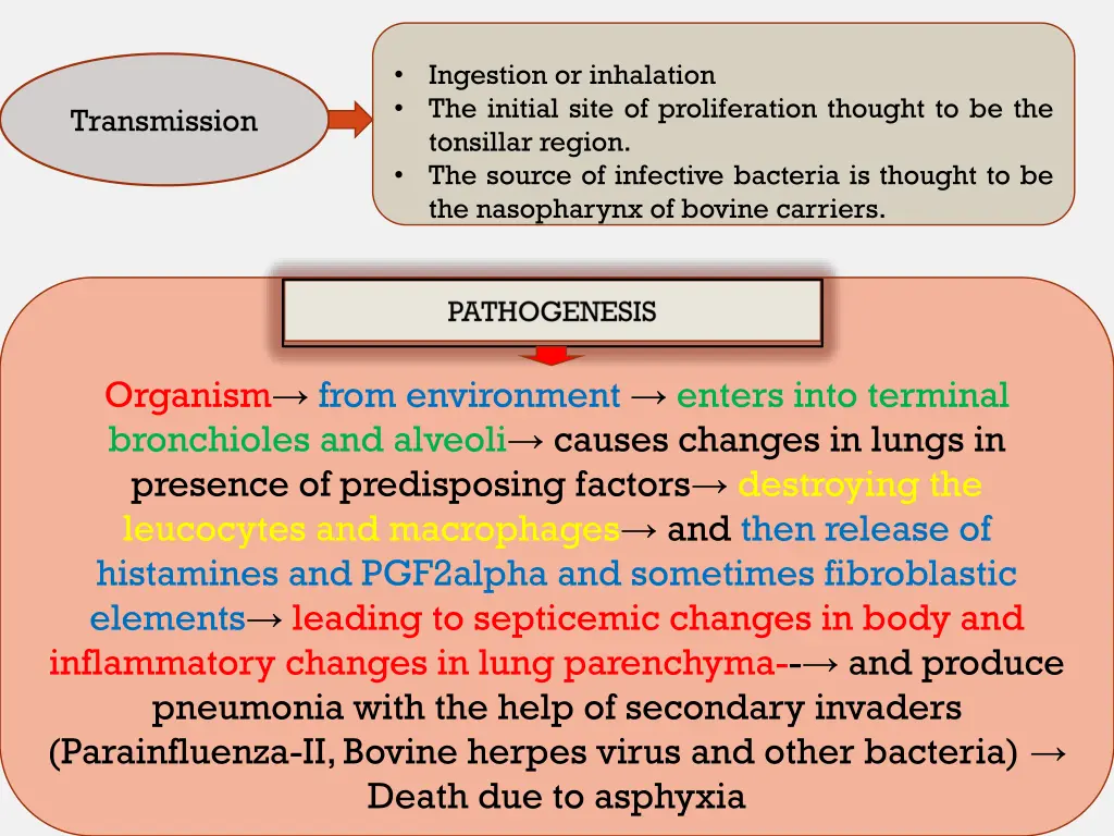 ingestion or inhalation the initial site