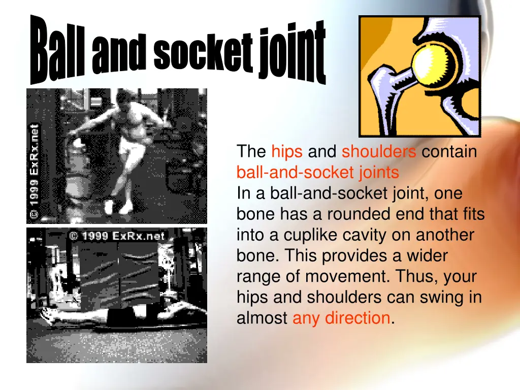 ball and socket joint