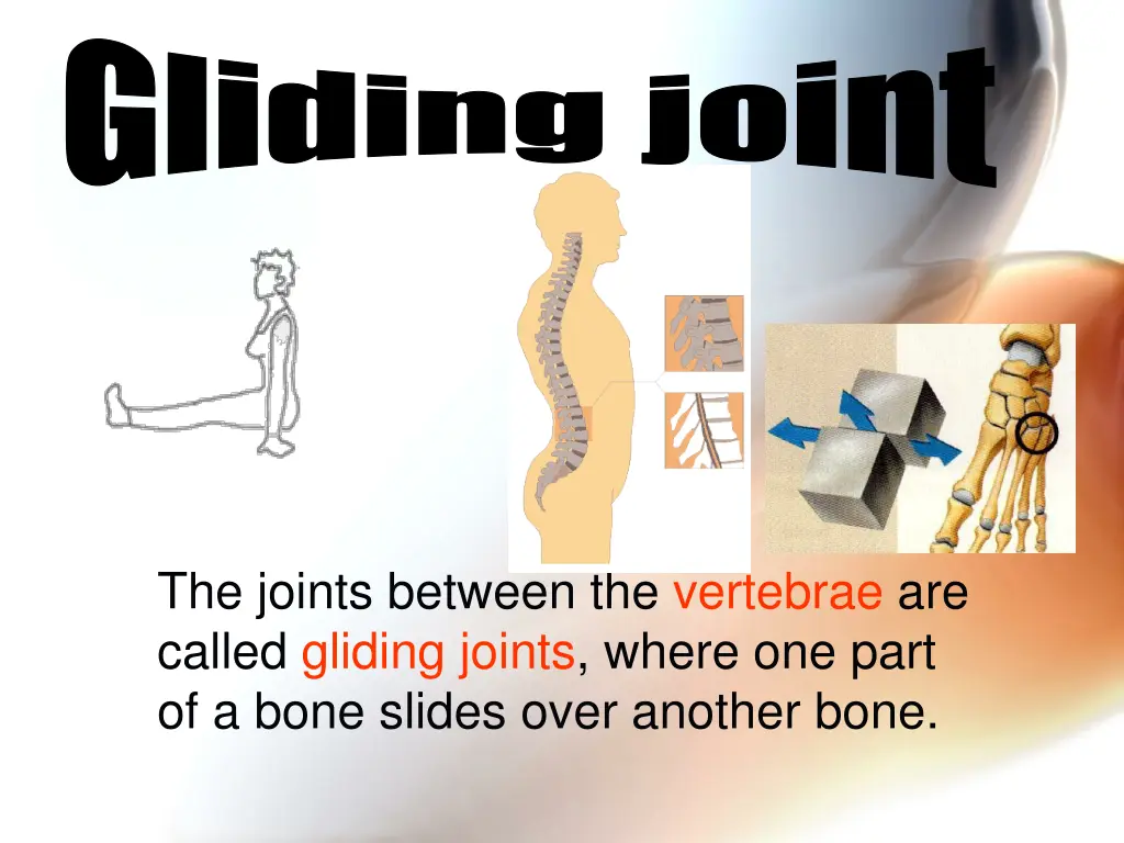 gliding joint