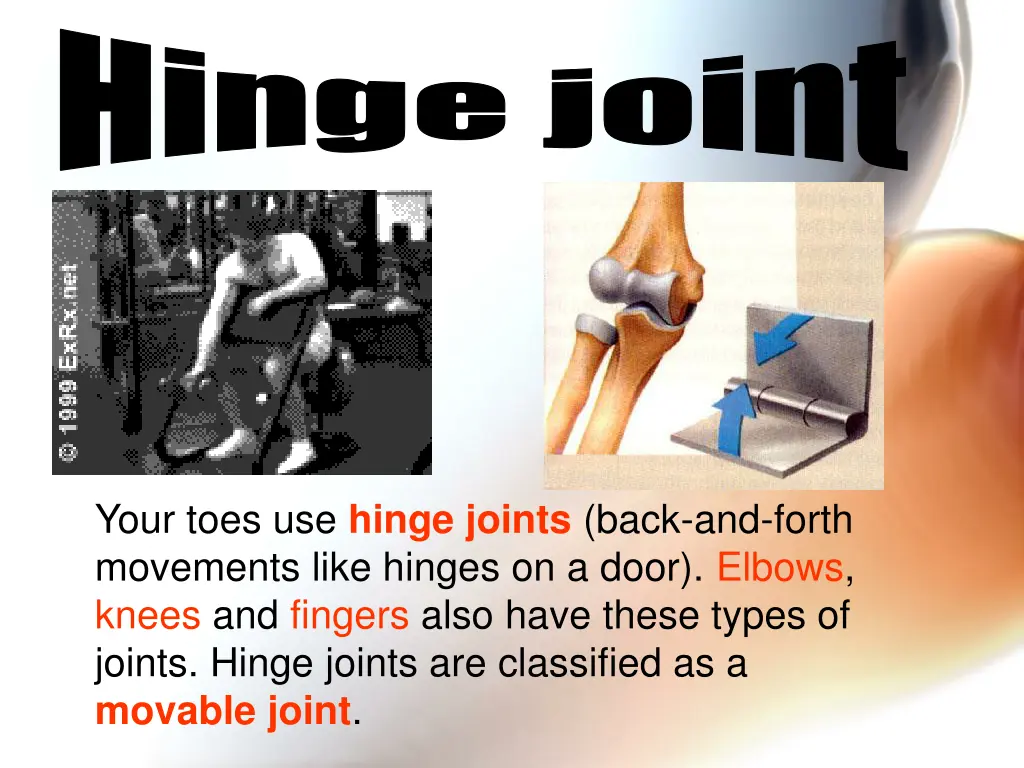hinge joint
