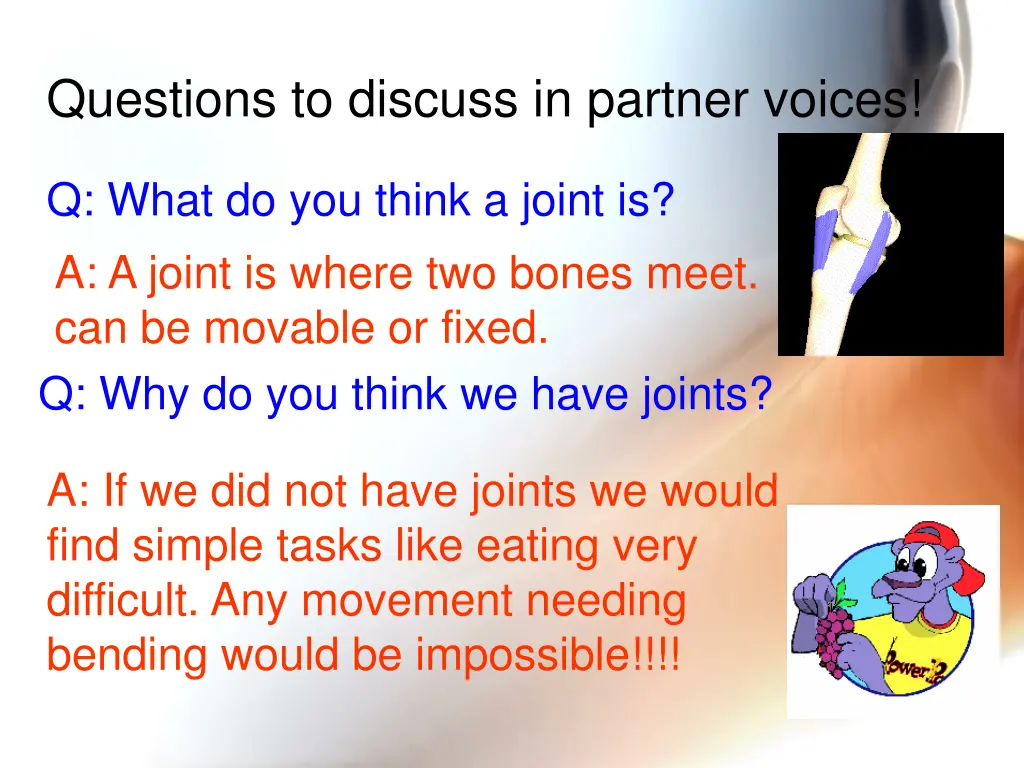 questions to discuss in partner voices