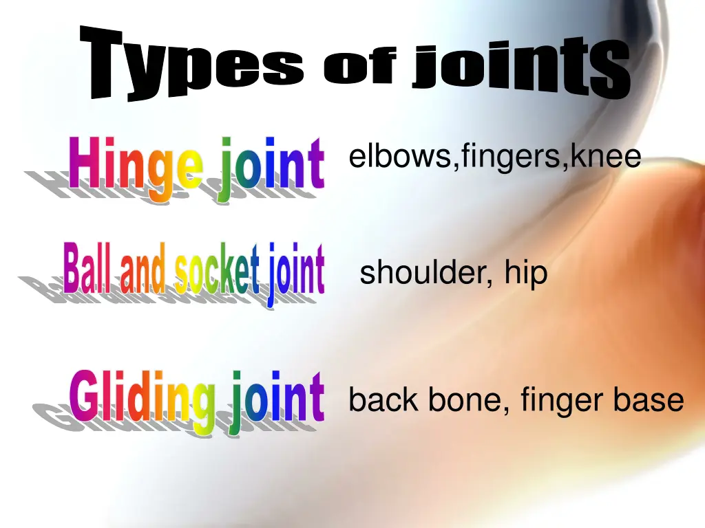 types of joints