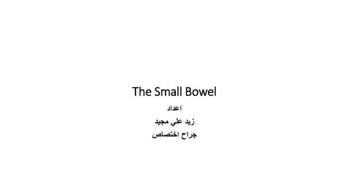 the small bowel the small bowel