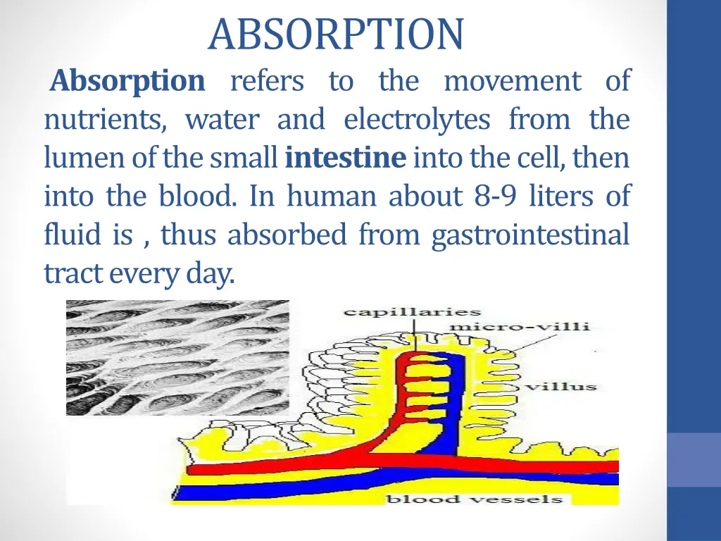 absorption