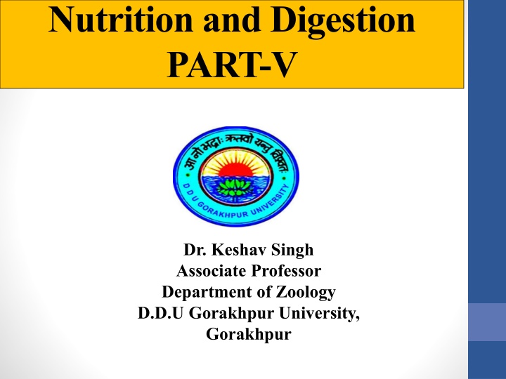 nutrition and digestion part v