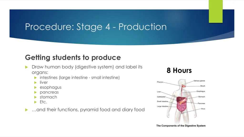 procedure stage 4 production