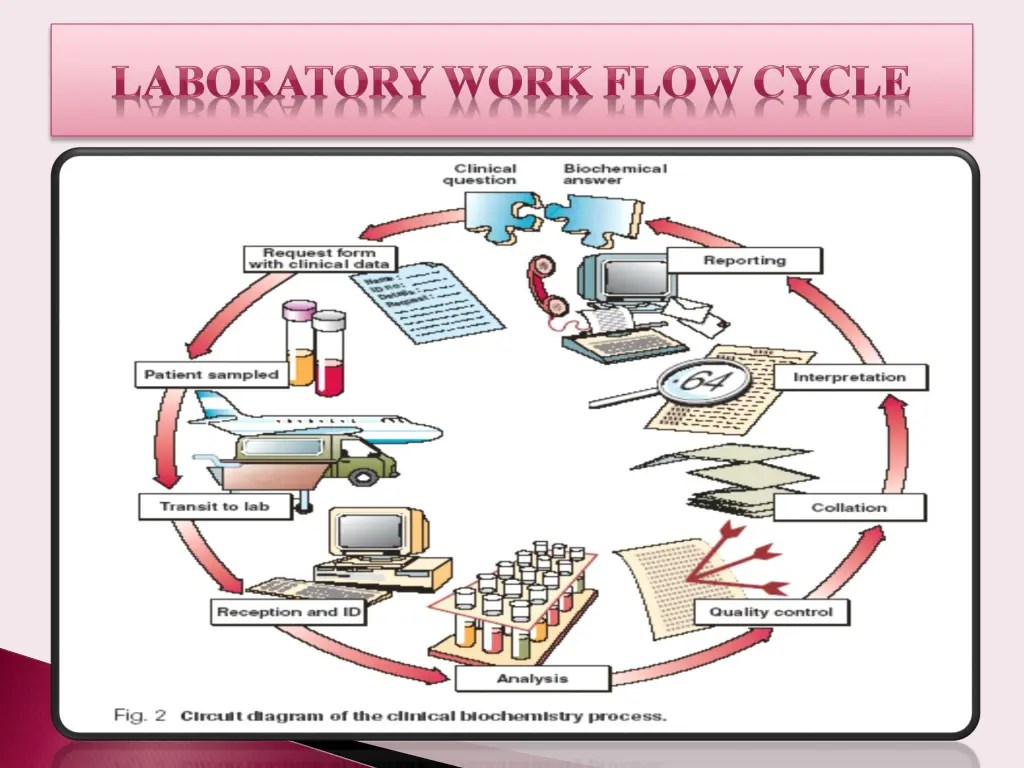 slide19