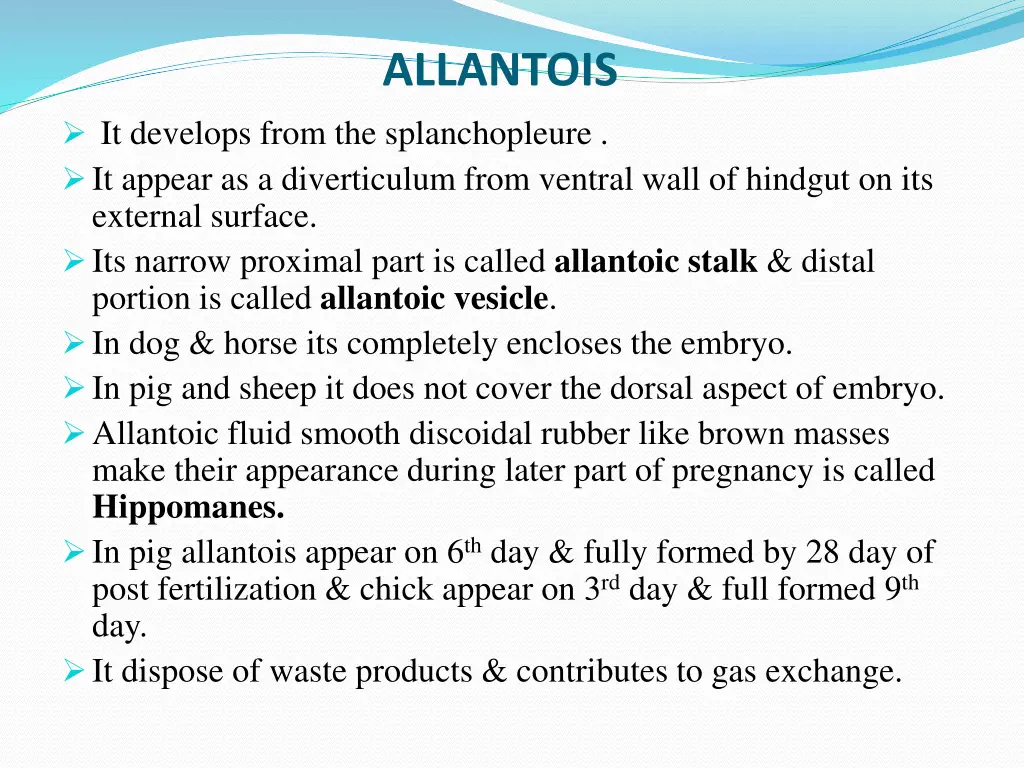 allantois