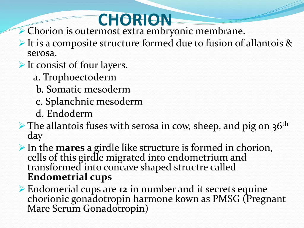 chorion